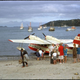 Stewart Island. Halfmoon Bay with the Tourist Air Travel Ltd Grumman G-44A Widgeon aircraft ZK-BAY